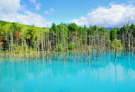 blue pond