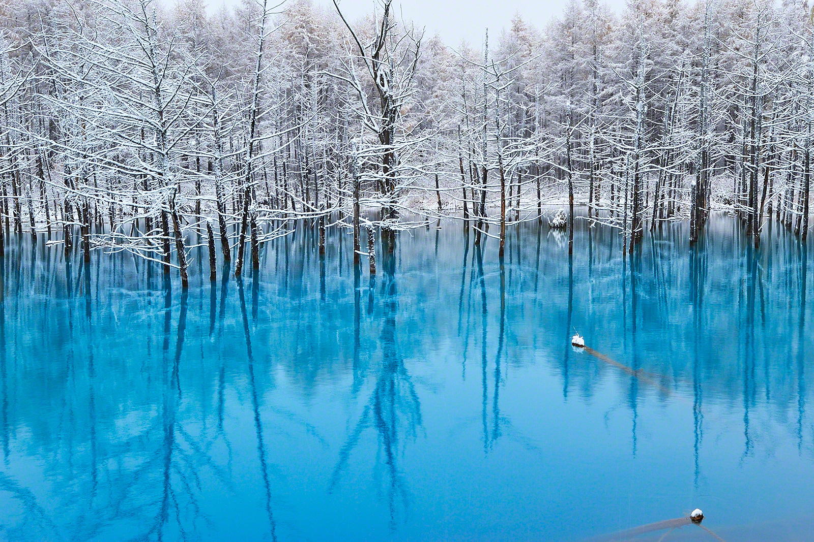 Blue pond