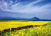 6 Days Korea UNESCO Tour Package