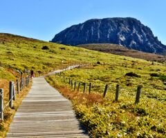Jeju Hiking
