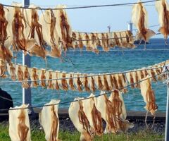 5 Days Jeju Tour Package