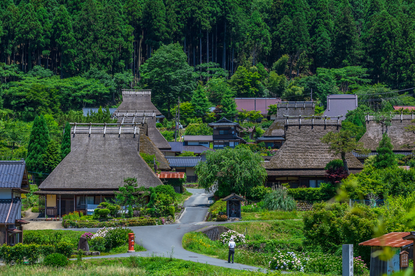 miyama miyama
