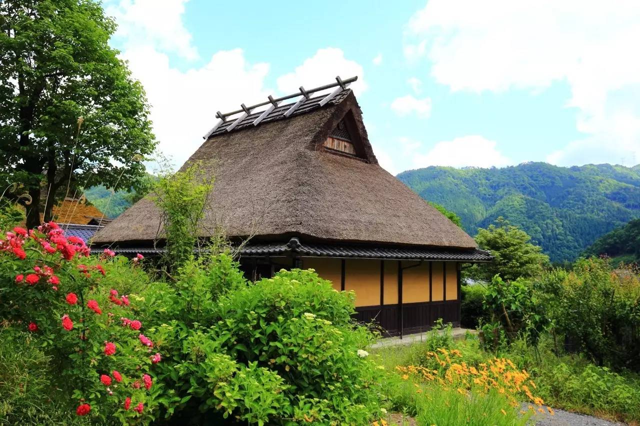 miyama miyama
