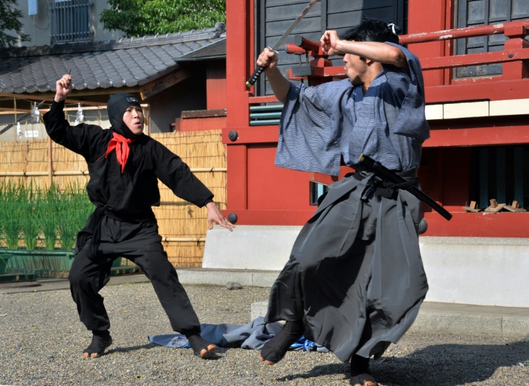 ninja-show ninja-show