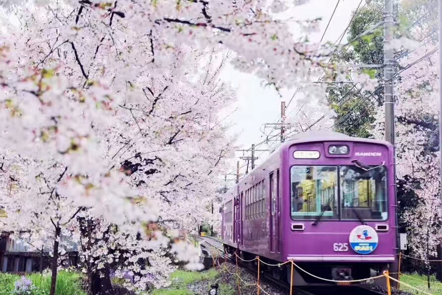 sagano romantic train