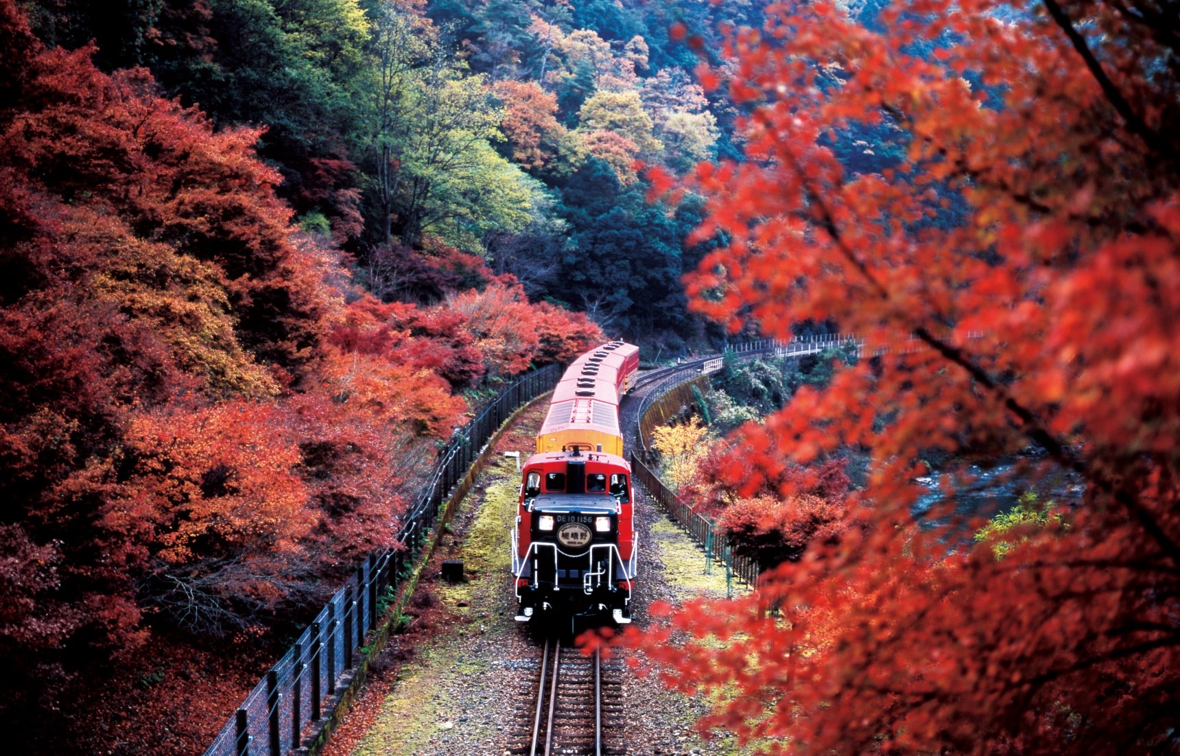 sagano romantic train