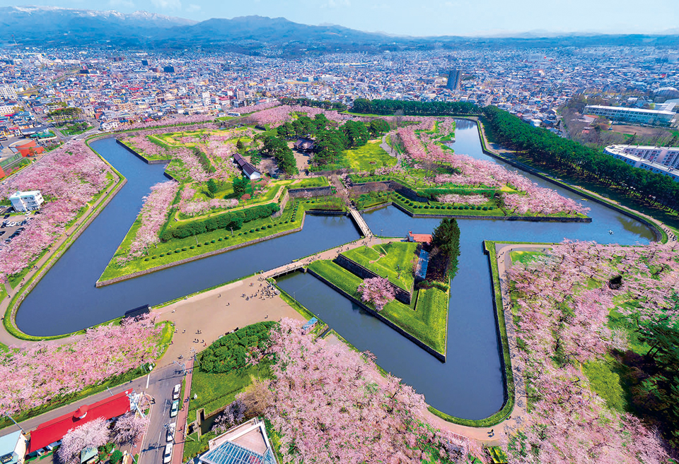 goryokaku park