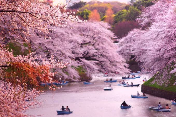 chidorigafuchi