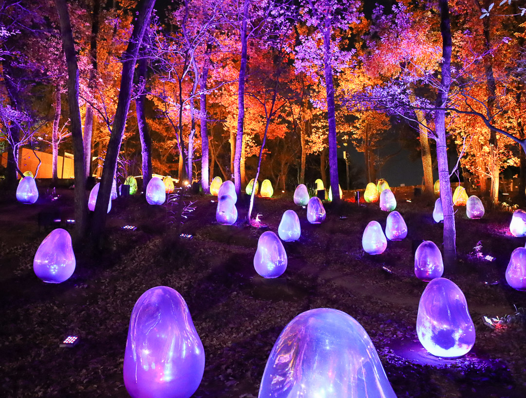 teamLab Acorn Forest teamLab Acorn Forest